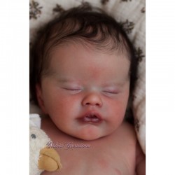 Buy Primrose Laura Lee Eagles