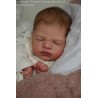 Comprar Everlee  Sabine Altenkirch