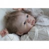 Comprar Judith Adrie Stoete