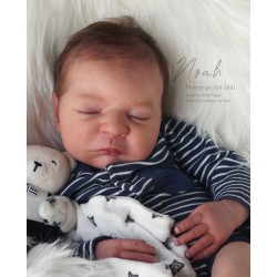 Comprar Noah de Kelly Fraga