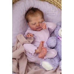 Buy Orla  Sabine Altenkirch