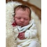 Comprar Logan de Severine Piret