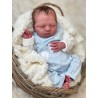 Comprar Logan de Severine Piret