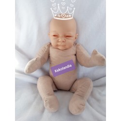 Buy Cuddle Body