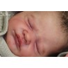 Comprar Harry Bonnie Brown