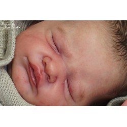 Comprar Harry  Bonnie Brown