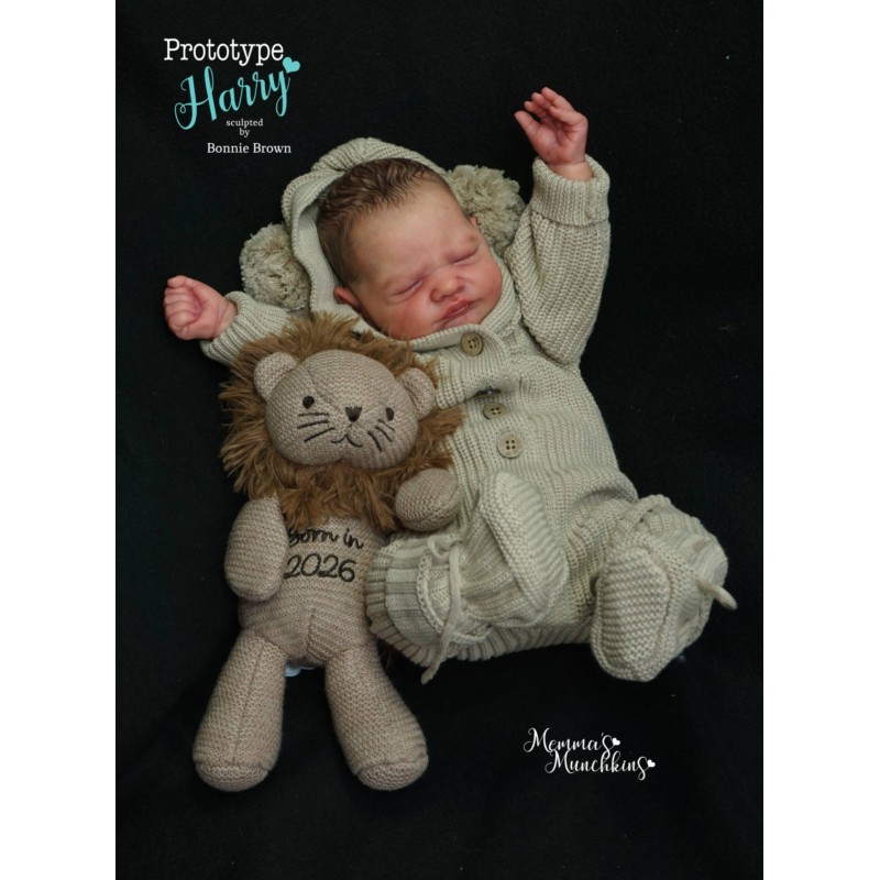 Buy Harry Bonnie Brown