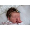 Comprar Twin A Bonnie Brown