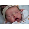 Comprar Twin A Bonnie Brown