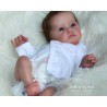 Comprar Tink Bonnie Brown