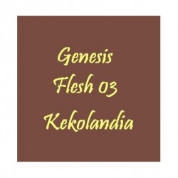 Comprar Flesh 03 Genesis