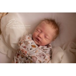Comprar Elsie Cassie Brace