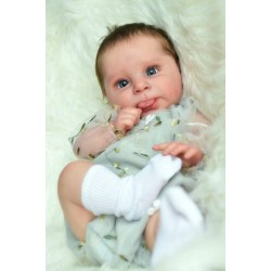 Comprar Sebby Cassie Brace