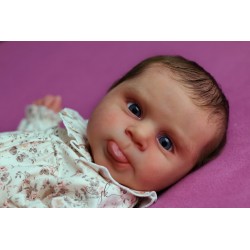 Comprar Sebby Cassie Brace