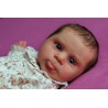 Comprar Sebby Cassie Brace