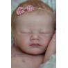 Comprar Charlotte Laura Lee Eagles