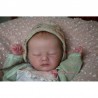Comprar Charlotte Laura Lee Eagles