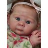 Comprar Lizzy Adrie Stoete